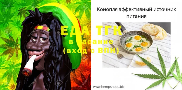 амф Инта