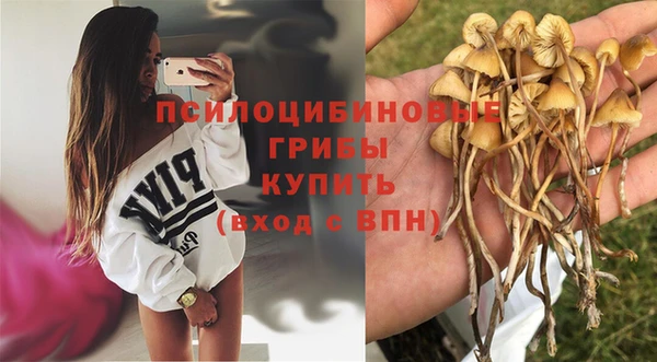 амф Инта