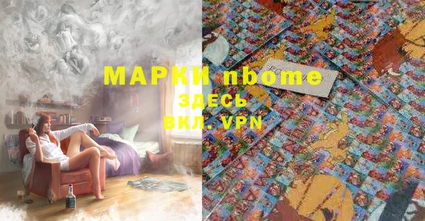 амф Инта