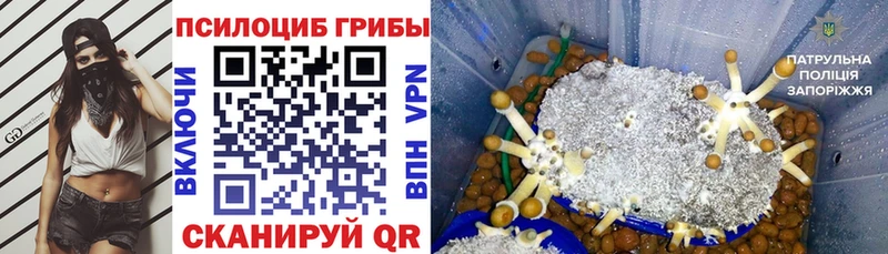 Купить закладки  Вилюйск  Псилоцибиновые грибы Cubensis 